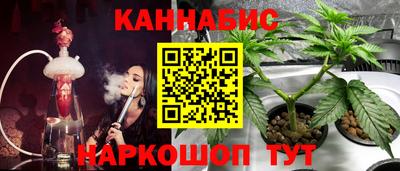 гидра Малгобек
