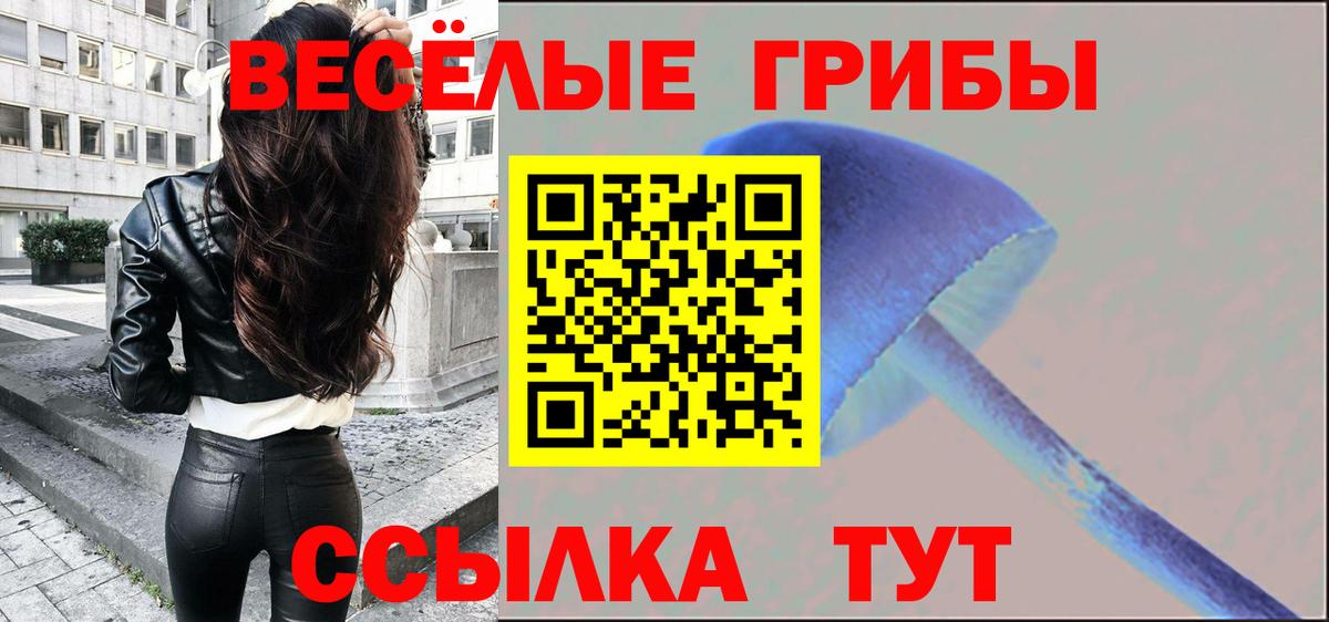 Галлюциногенные грибы Magic Shrooms Донской