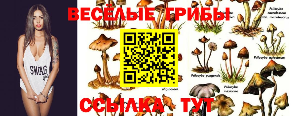 Донской  Галлюциногенные грибы мицелий  Галлюциногенные грибы Cubensis  Вход с VPN 