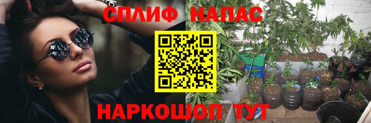 Канабис марихуана  Бошки марихуана индика  Шишки марихуана MAZAR  Вход с VPN  Шишки марихуана план  Донской 